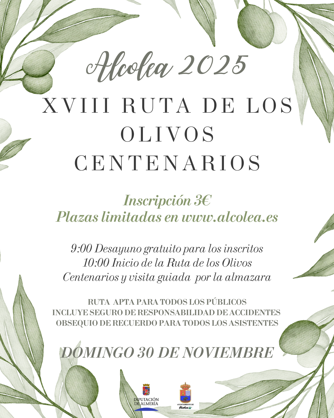 XIII RUTA DE OLIVOS CENTENARIOS ALCOLEA 2025